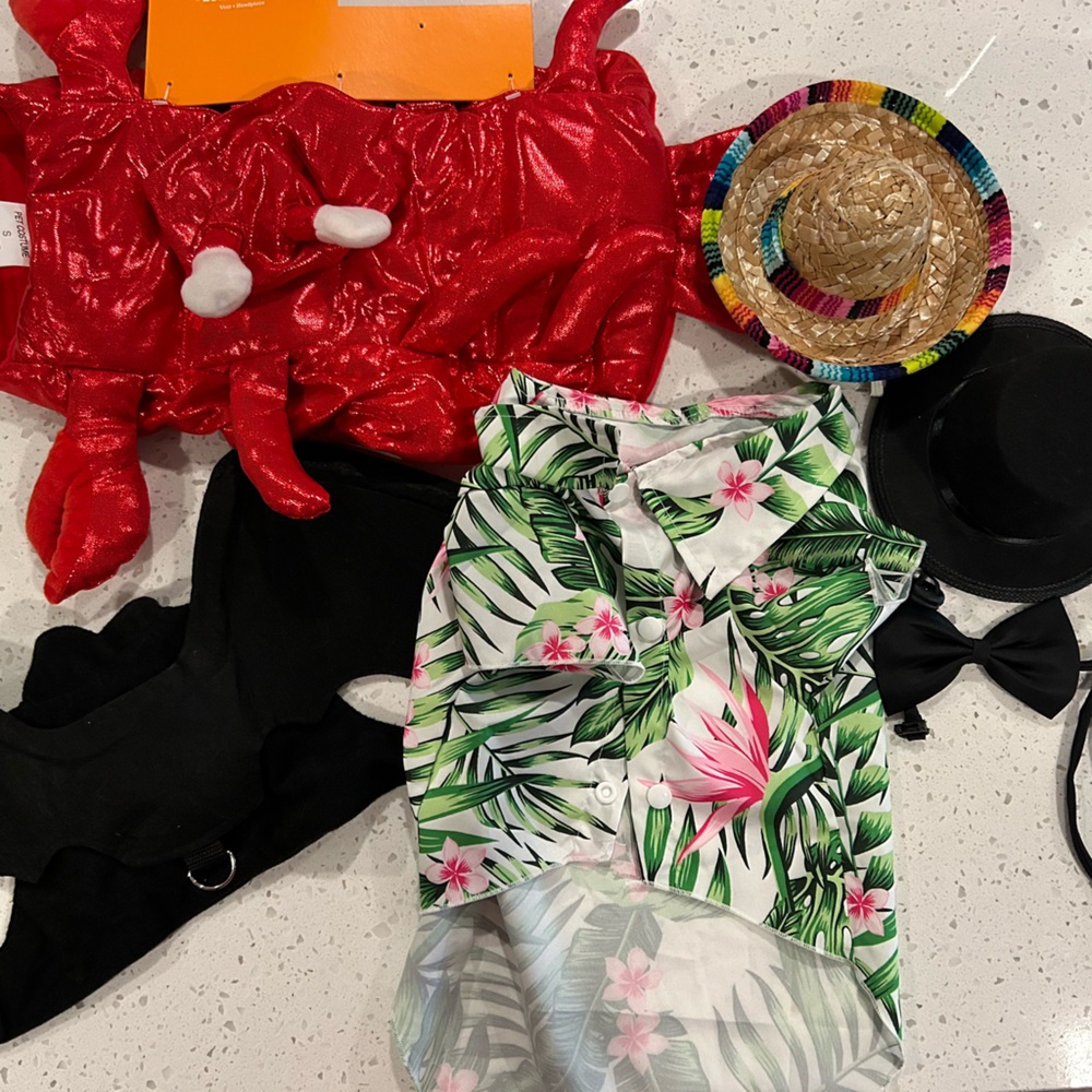 Assorted Cat Halloween Costumes